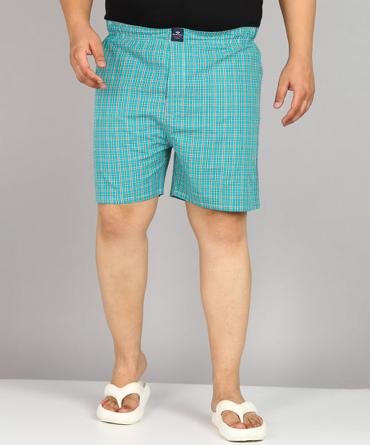 Men Plus Size Mint Green Checked Boxer