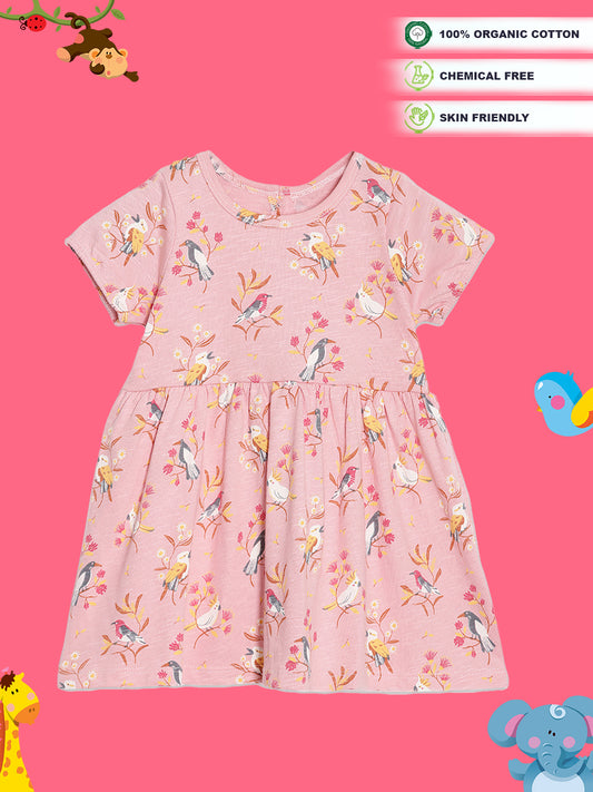 Broon Infant Baby Organic Cotton Short Sleeve Girls Dress