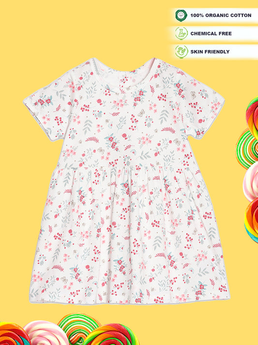 Broon Infant Baby Organic Cotton Short Sleeve Girls Dress