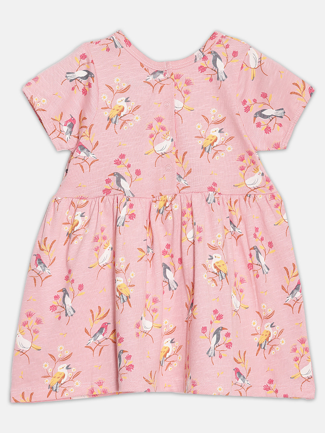 Broon Infant Baby Organic Cotton Short Sleeve Girls Dress