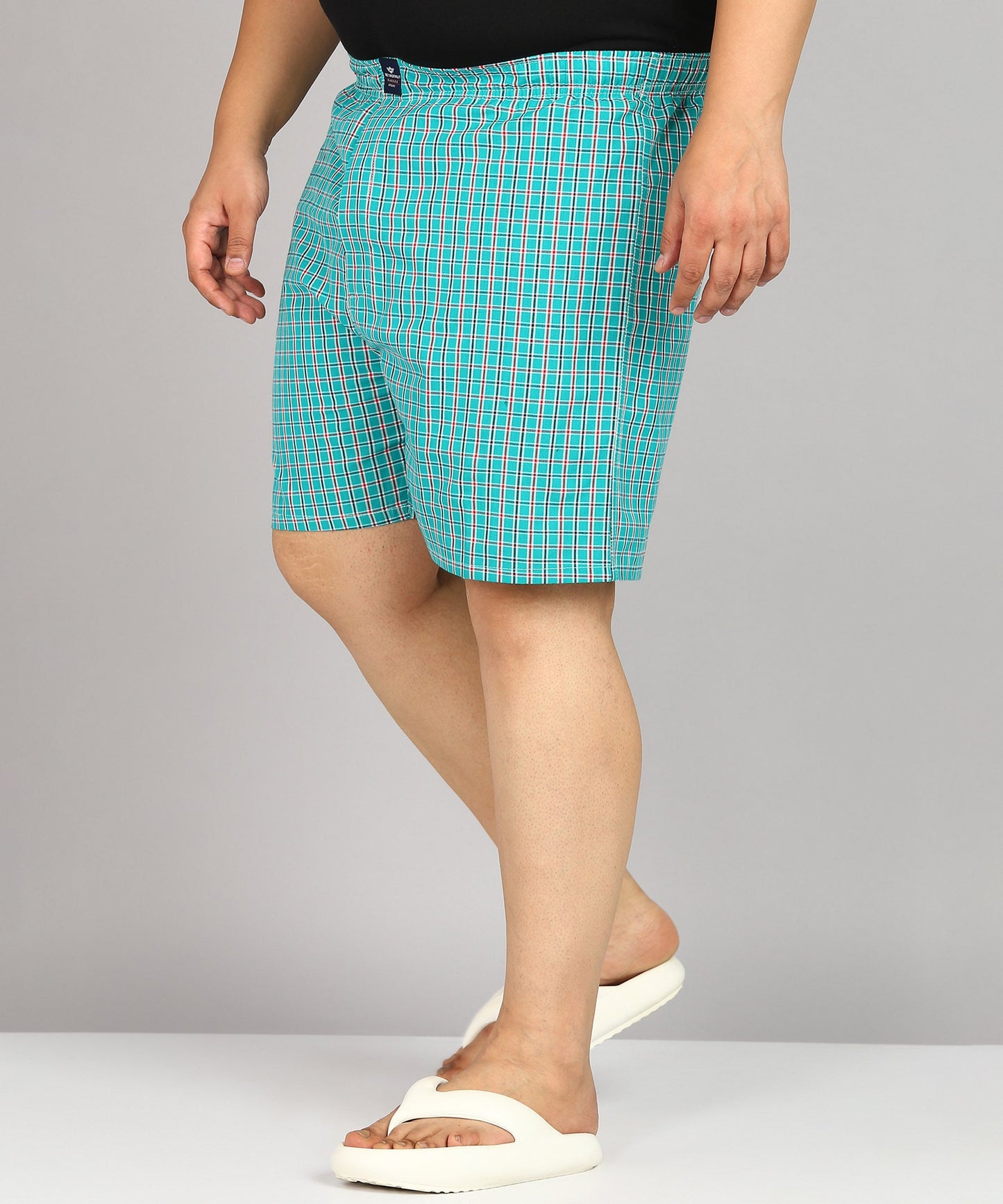 Men Plus Size Mint Green Checked Boxer
