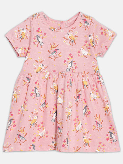 Broon Infant Baby Organic Cotton Short Sleeve Girls Dress